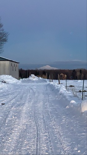 Vue - 1212 Ch. Dutch, Saint-Armand, QC 