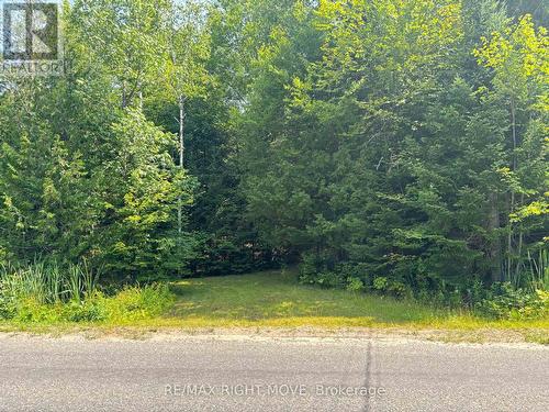 50 Sunrise Drive - 50 Sunrise Drive, Kearney, ON 