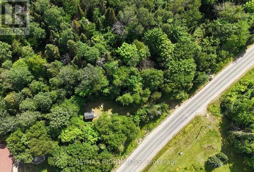 50 Sunrise Drive, Kearney, ON 