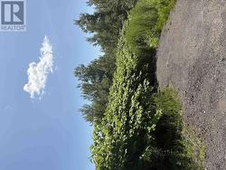0 Lorway Avenue  Reserve Mines, NS B1E 1E4