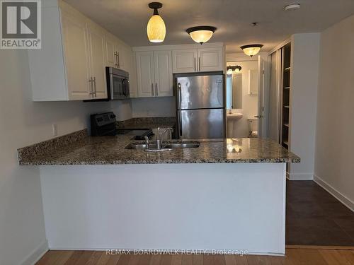 205 - 132 Daly Avenue, Ottawa, ON - Indoor Photo Showing Kitchen With Stainless Steel Kitchen With Double Sink