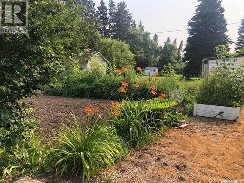 226 2Nd Avenue Se, Norquay, SK - Outdoor