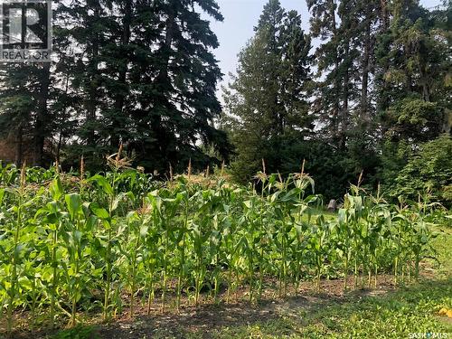 226 2Nd Avenue Se, Norquay, SK - Outdoor