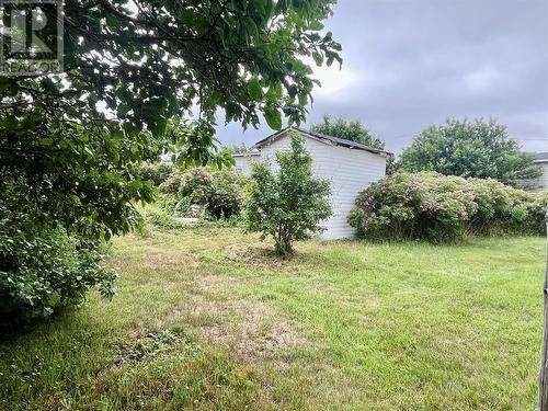 35 Eldon Street, Fortune, NL - Outdoor
