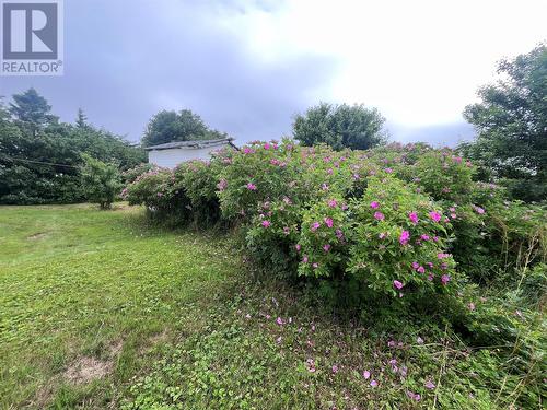 35 Eldon Street, Fortune, NL - Outdoor