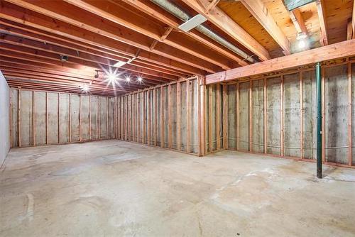 23 Werrell Cr, Winnipeg, MB - Indoor Photo Showing Basement