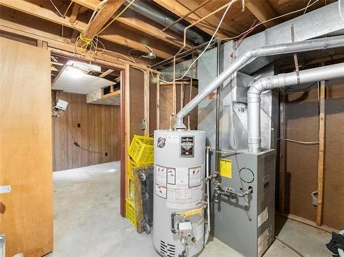 55 Stefanie Dr, Winnipeg, MB - Indoor Photo Showing Basement