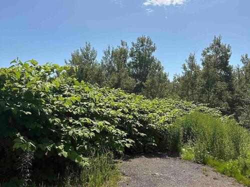 0 Lorway Avenue, Reserve Mines, NS 