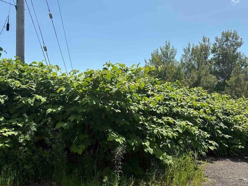 0 Lorway Avenue, Reserve Mines, NS 