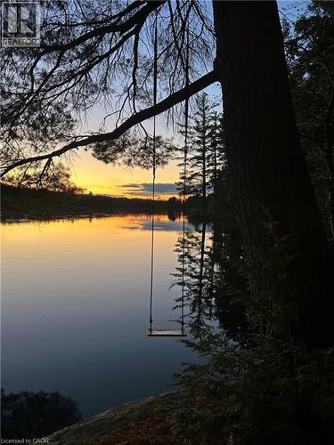Lakeside Swing - 3256 Machar Strong Boundary, Machar, ON - Outdoor With Body Of Water With View