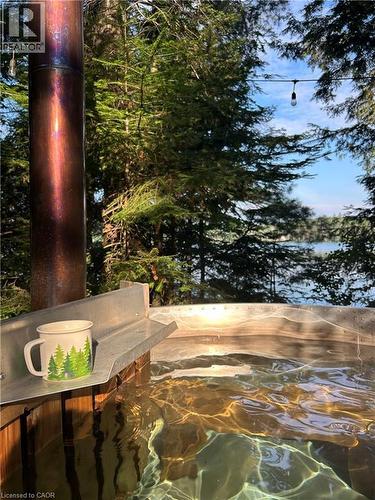 Lakeside Hottub - 3256 Machar Strong Boundary, Machar, ON - Outdoor With View