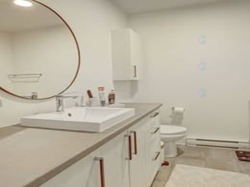 Salle de bains - 714 7E Avenue, Montréal (Rivière-Des-Prairies/Pointe-Aux-Trembles), QC - Indoor Photo Showing Bathroom