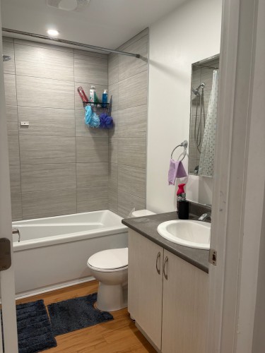 Bathroom - 5304 Rue Notre-Dame O., Montréal (Le Sud-Ouest), QC - Indoor Photo Showing Bathroom