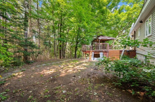 Courtyard - 1337 Rue Du Continental, Val-David, QC - Outdoor