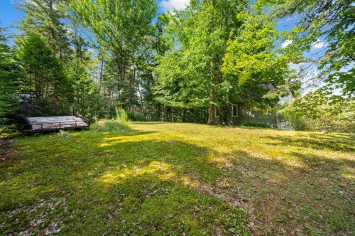 Courtyard - 1337 Rue Du Continental, Val-David, QC - Outdoor