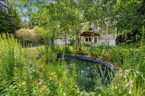 Courtyard - 1337 Rue Du Continental, Val-David, QC - Outdoor