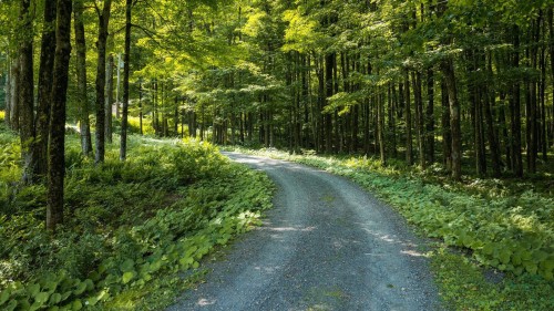 Extérieur - 19 Ch. Price, Lac-Brome, QC - Outdoor With View
