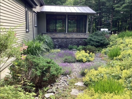 Jardin - 19 Ch. Price, Lac-Brome, QC - Outdoor