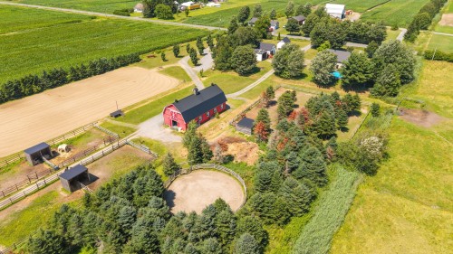 Terre/Terrain - 138 Ch. Viens, Saint-Alphonse-De-Granby, QC - Outdoor With View
