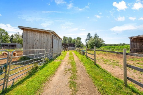 Lot - 138Z Ch. Viens, Saint-Alphonse-De-Granby, QC 