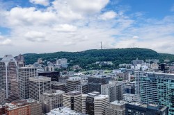 View - 