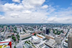 View - 