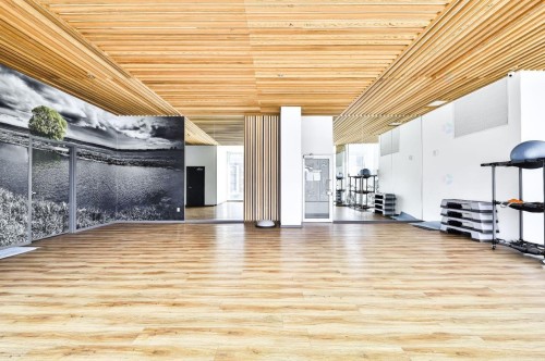 Exercise Room - 422-365 Rue St-André, Montréal (Ville-Marie), QC - Indoor Photo Showing Gym Room