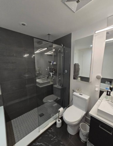Bathroom - 422-365 Rue St-André, Montréal (Ville-Marie), QC - Indoor Photo Showing Bathroom