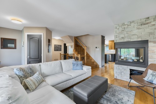 Salon - 21 Rue Des Catalpas, Saint-Philippe, QC - Indoor Photo Showing Living Room With Fireplace