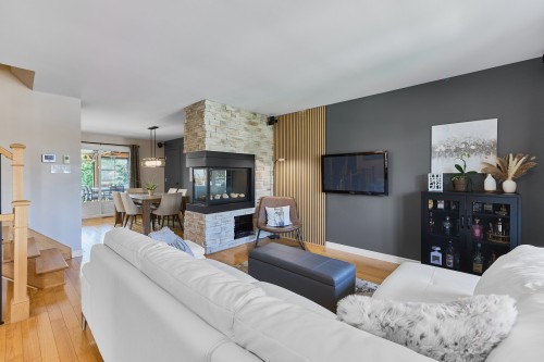 Salon - 21 Rue Des Catalpas, Saint-Philippe, QC - Indoor Photo Showing Living Room With Fireplace