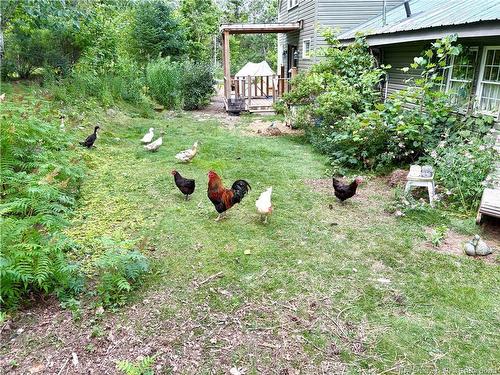 34 Tower Rd, Havelock, NB 