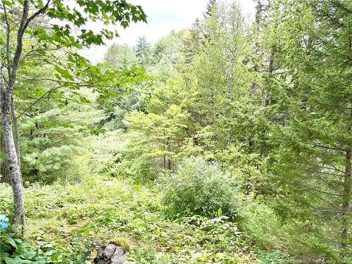 34 Tower Rd, Havelock, NB 