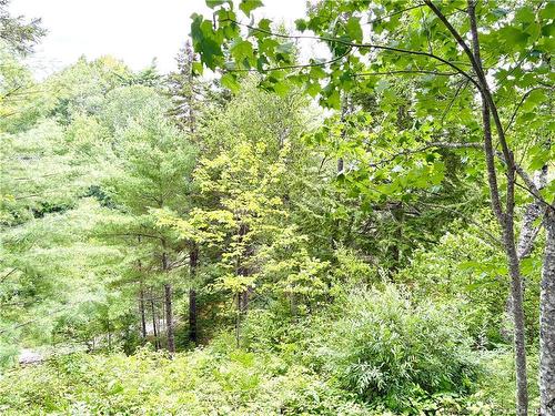 34 Tower Rd, Havelock, NB 