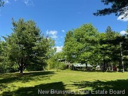 34 Tower Rd, Havelock, NB 