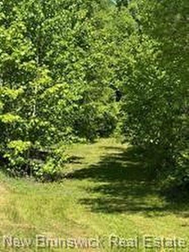 34 Tower Rd, Havelock, NB 