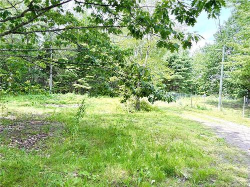 34 Tower Rd, Havelock, NB 