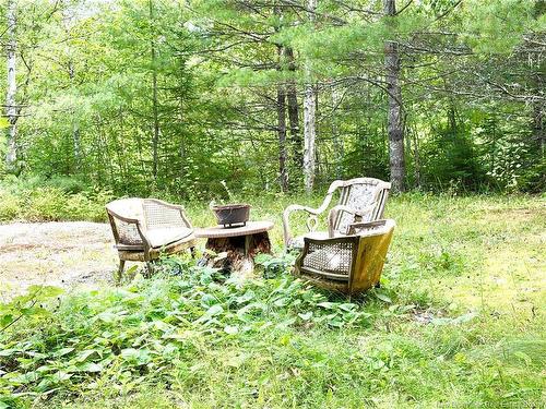 34 Tower Rd, Havelock, NB 