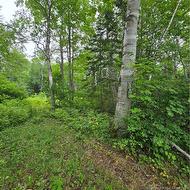 608 Rte 322  Sainte-Thérèse Sud, NB E8K 2W4