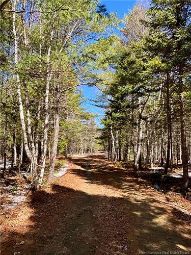 262 Straightbrook Rd, Tabusintac, NB 