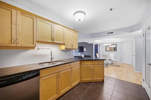 217-835 Adsum Dr, Winnipeg, MB - Indoor Photo Showing Kitchen With Double Sink