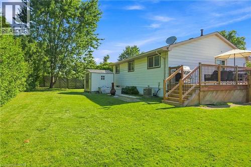 Expansive green lawn with a privacy fence, mature trees, and a storage shed - 46 Brett Court, Hamilton, ON - Outdoor With Deck Patio Veranda