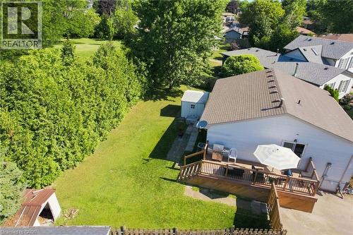Expansive backyard featuring a wood deck, manicured lawn, and mature evergreen privacy hedging - 46 Brett Court, Hamilton, ON - Outdoor With Deck Patio Veranda