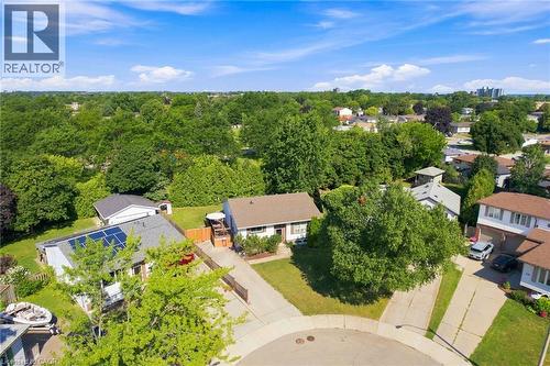 Residential area featuring mature trees and a clear blue sky - 46 Brett Court, Hamilton, ON - Outdoor With View