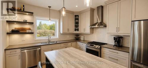249 Wilson Avenue, Tillsonburg, ON - Indoor Photo Showing Kitchen With Double Sink With Upgraded Kitchen
