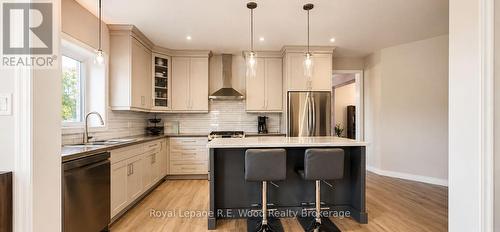 249 Wilson Avenue, Tillsonburg, ON - Indoor Photo Showing Kitchen With Double Sink With Upgraded Kitchen