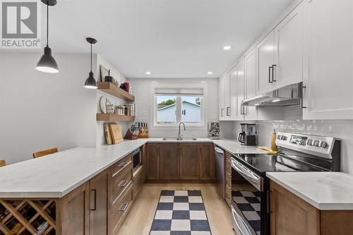 20 Thorburn Road, St. John'S, NL - Indoor Photo Showing Kitchen With Double Sink