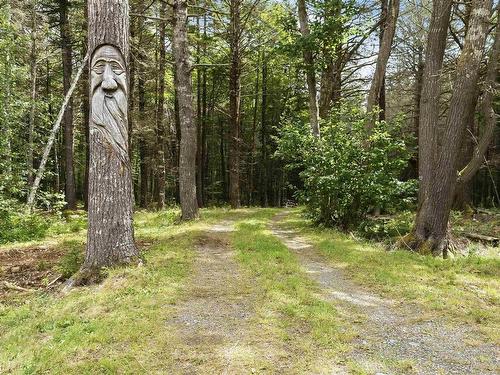 159 Jims Boulder Road, North Range, NS - Outdoor