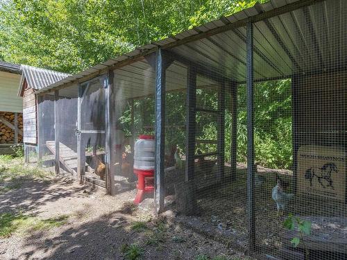 1040 Vault Road, Forest Glade, NS - Outdoor