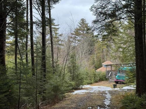 95 Natural Forest Lake Road, Upper Cornwall, NS 