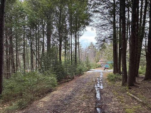 95 Natural Forest Lake Road, Upper Cornwall, NS 